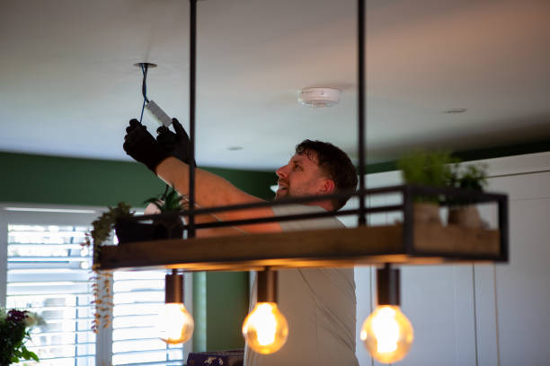 Best Electric Panel Repair  in Farwell, TX